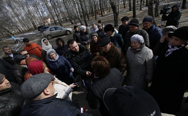 В березовой роще никто больше не срубит ни одного дерева