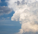 Погода в Туле на 27 июля: переменная облачность и небольшие дожди
