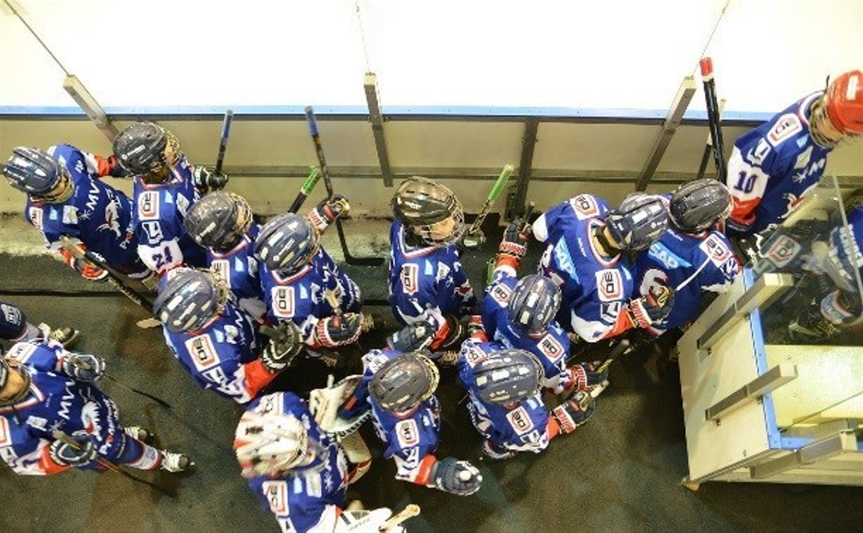 В Новомосковске состоится турнир по хоккею