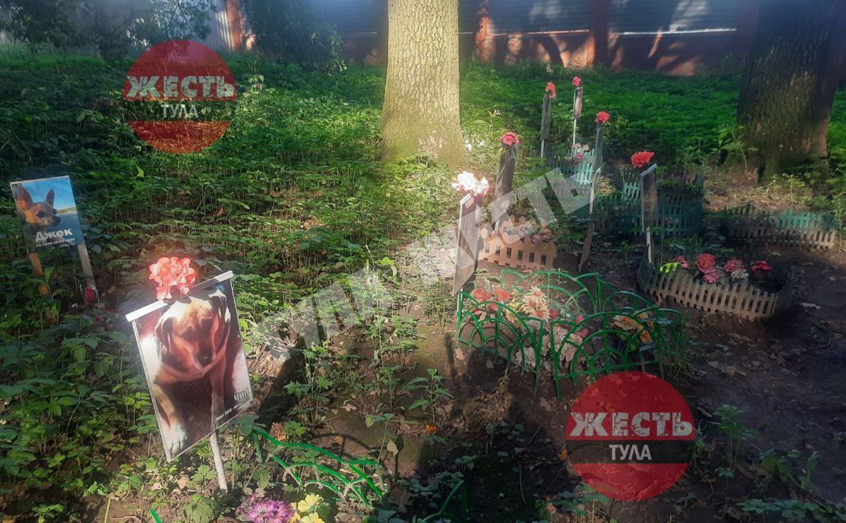 На ул. Малиновая Засека в Туле нашли кладбище домашних животных
