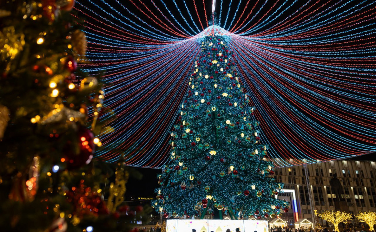 Тульская ёлка попала в Книгу рекордов России