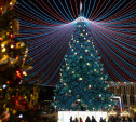 Тульская ёлка попала в Книгу рекордов России