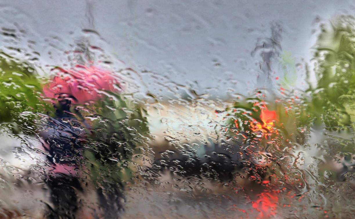 Погода в Туле 21 августа: мокро, ветрено и до +27