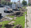 Почему на Красноармейском выкопали молодые клёны?