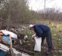 Бывший военный перевез в Кимовск свору собак: его питомцы заживо загрызли женщину