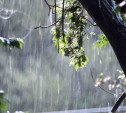 Погода в Туле 27 апреля: небольшой дождь, облачность и умеренный ветер