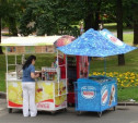 Жителя Узловой приговорили к обязательным работам за кражу мороженого