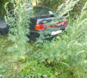 На трассе в Тульской области два пьяных водителя устроили смертельное ДТП
