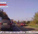 На Одоевском шоссе засняли «миграцию обочечников»