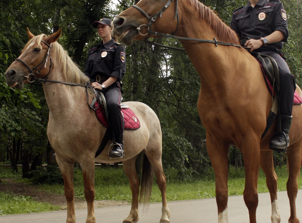 Обеспечивать порядок в Центральном парке будет конная полиция