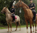 Обеспечивать порядок в Центральном парке будет конная полиция