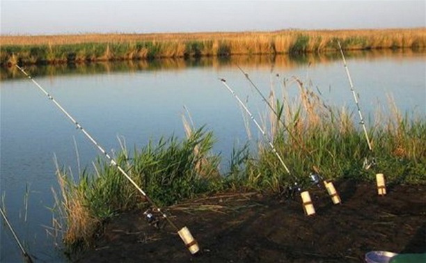 В Алексине проводится чемпионат Тульской области по ловле донной удочкой
