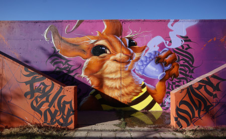 Жизнь Тулы и области