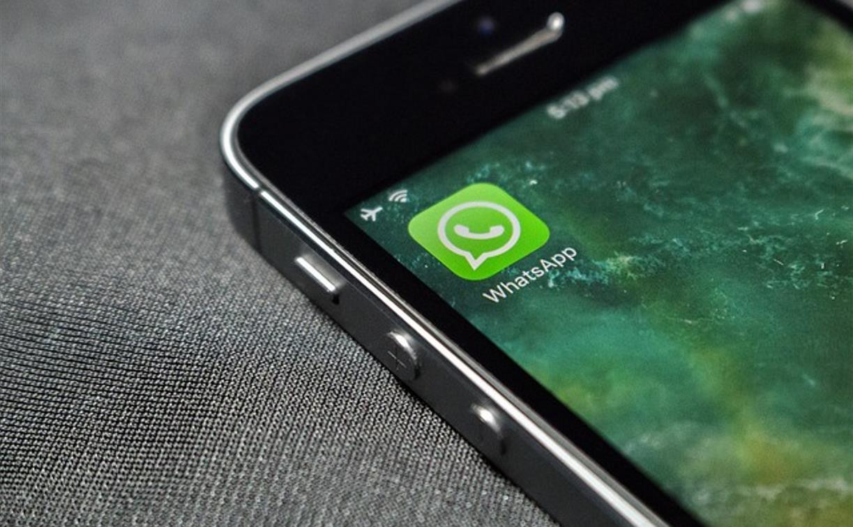 Могут ли в России заблокировать WhatsApp: разъяснение Роскачества