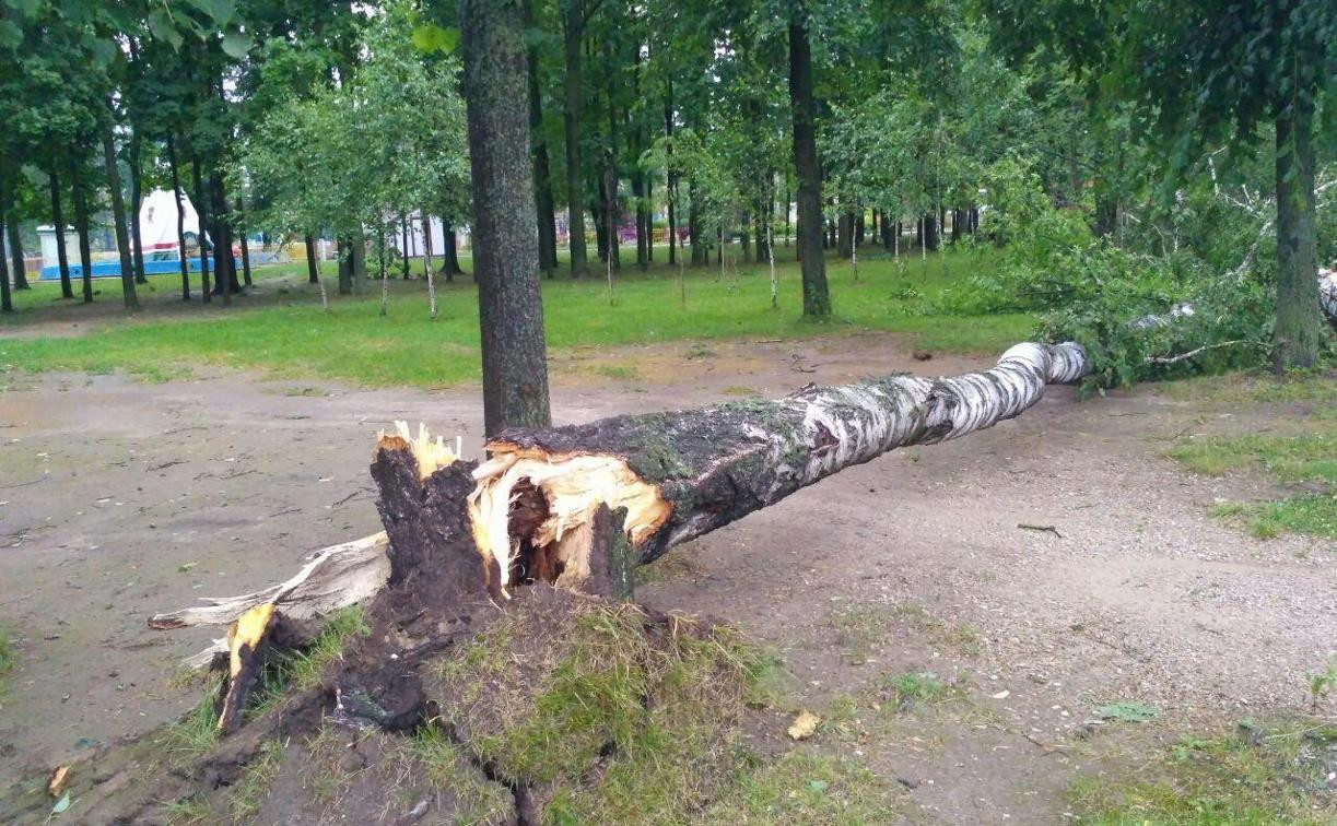Штормовой ветер серьёзно «потрепал» Комсомольский парк