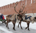 Туляков приглашают на новогодние гуляния на Казанской набережной