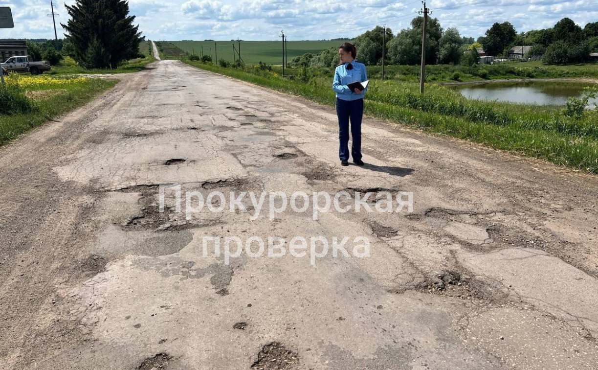 Щекинский филиал «Тулаавтодора» наказали за бездействие