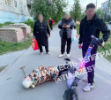 В Туле самокатчик сбил пенсионерку на улице Кауля