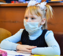В Тульской области из-за гриппа частично закрыли пять школ
