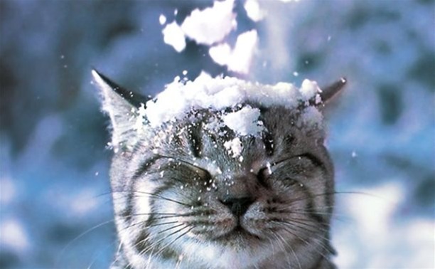 В России отмечают Всемирный день снега