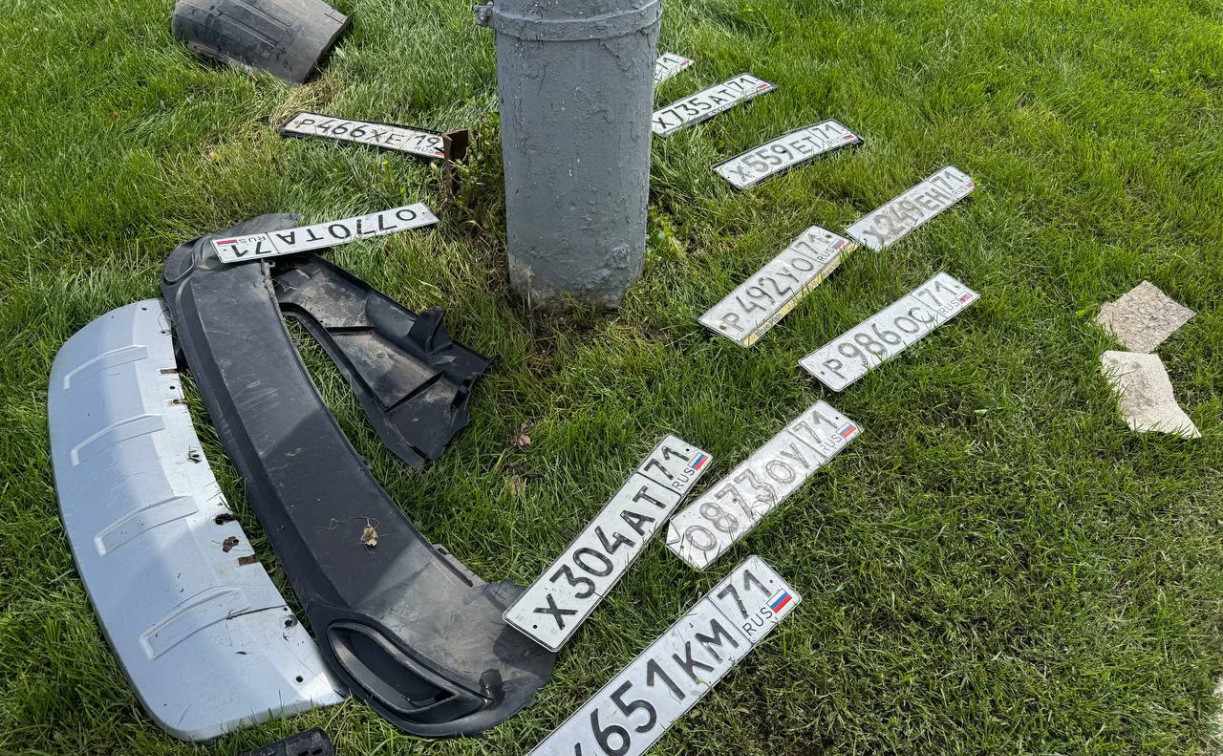 Туляки обнаружили десятки потерянных автономеров на улице Фрунзе