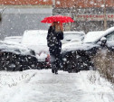 Погода в Туле 14 февраля: снег, гололедица и до -6 градусов