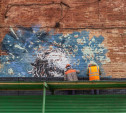 Со старого цеха «Октавы» исчезает граффити со Львом Толстым