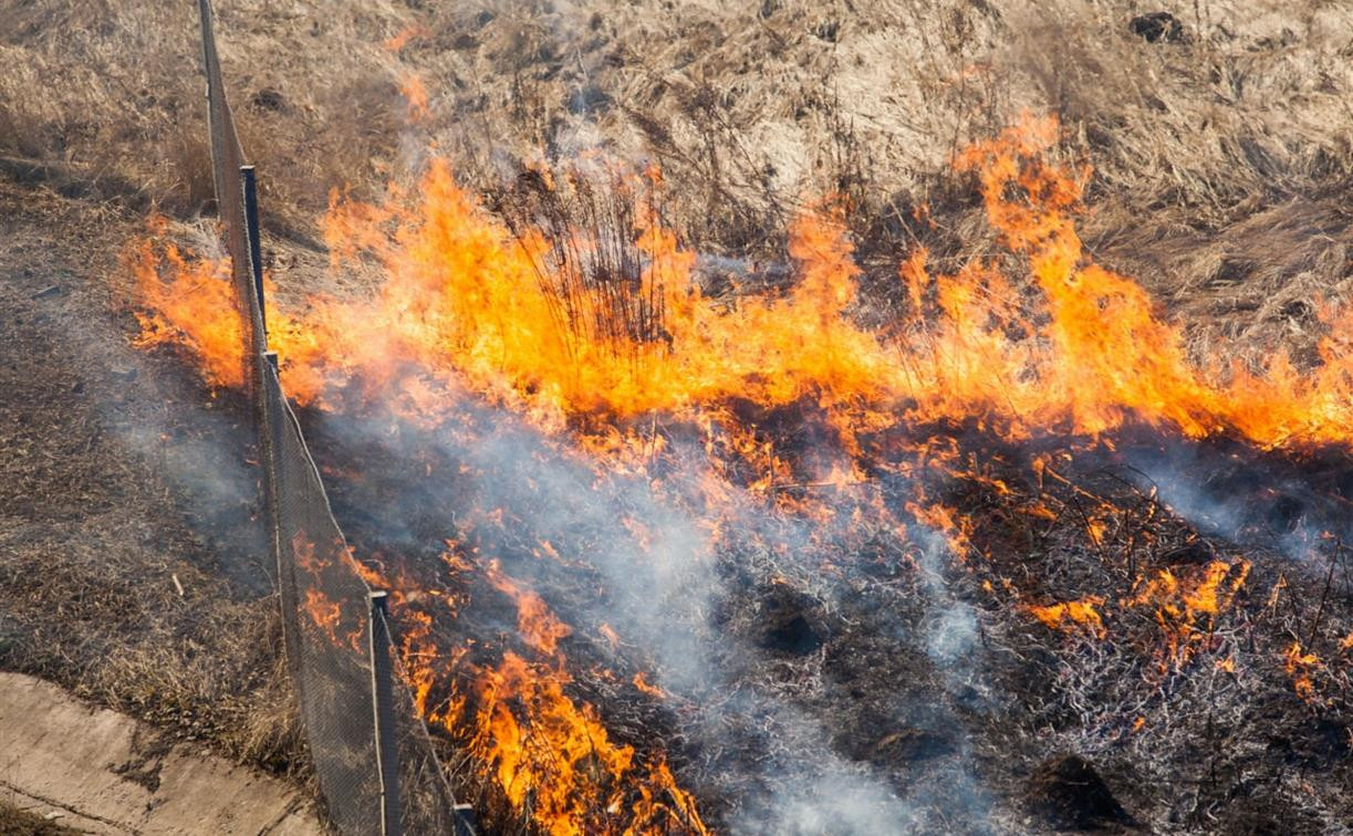 В Тульской области выжгли сельскохозяйственные угодья на площади 390 га