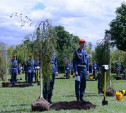 Туляки поучаствовали в высадке деревьев в «Березовой роще Героев»