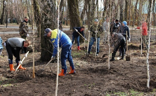 На субботниках туляки смогут озеленить свои дворы