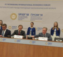 На Петербургском экономическом форуме подписан специнвестконтракт в сфере химической промышленности