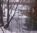 Жители: «Тонны нечистот из канализации Донского сбрасываются в реку Дон»
