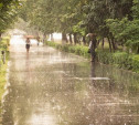 Погода в Туле 20 июля: тепло, облачно, небольшой дождь