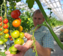 В России могут запретить торговлю продуктами с ГМО