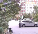 В Туле подростки избивают кошек палками и терроризируют пенсионеров 
