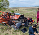 В Киреевском районе в ДТП с минивэном погибли два человека