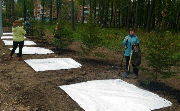 В Пролетарском районе Тулы сажают Аллею Доброты - 3