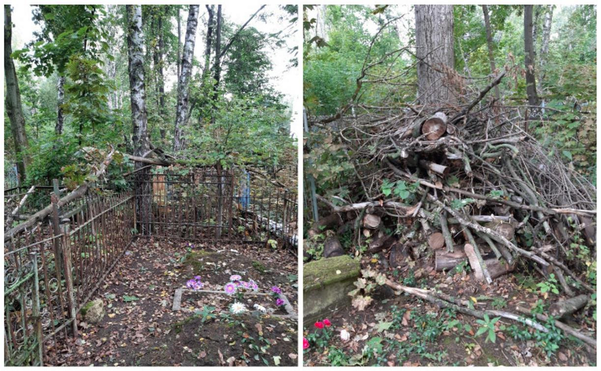 Деревья и ветки валяются на могилах: туляки жалуются на состояние Спасского кладбища