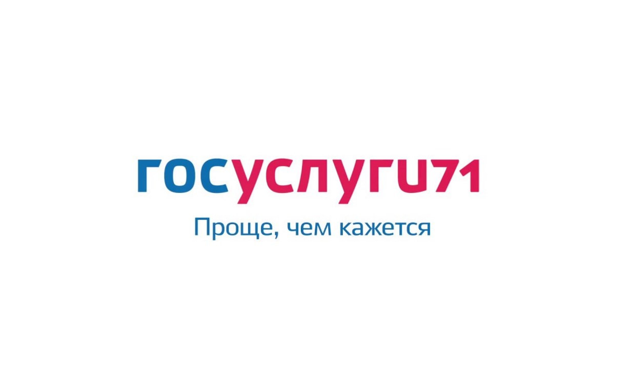 Путевки в детские лагеря в Тульской области: сайт госуслуги71 рухнул в самый неподходящий момент