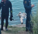В Новомосковске обнаружили труп утонувшего мужчины (фото 18+)