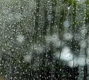 В Туле 19 июля дождь, грозы и сильный ветер