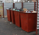 Туляков оштрафуют на 2 500 рублей за выброшенный на обочину мусор