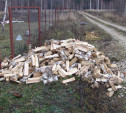 Житель Тульской области отправится в тюрьму за кражу дров