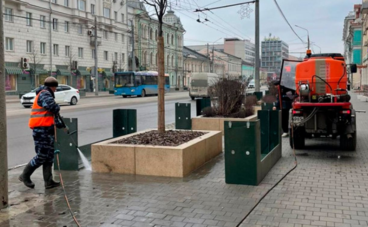 С лип на проспекте Ленина в Туле сняли защитные модули 