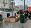 С лип на проспекте Ленина в Туле сняли защитные модули 