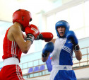 Тульские боксёры выступят на турнире в Волгограде