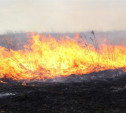 Житель Тульской области пострадал при сжигании травы