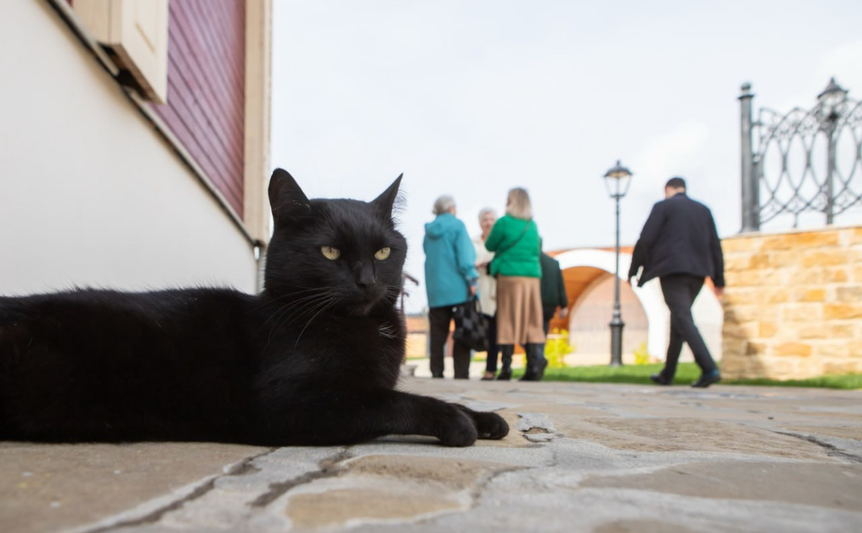 Погода 5 ноября: в Туле облачно и без осадков