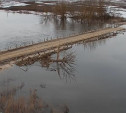 Паводок в Туле и области: затоплены 10 мостов
