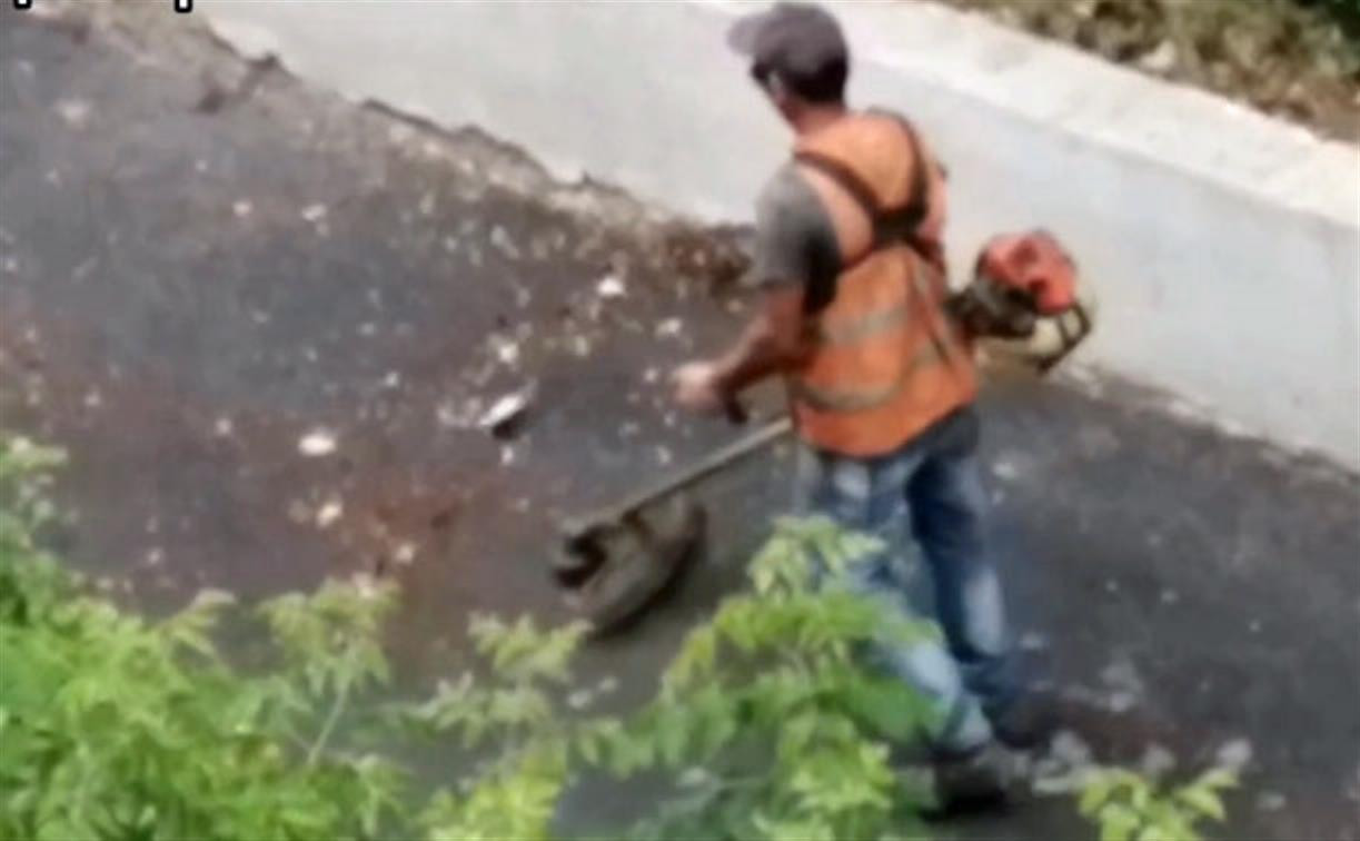 Автор видео из тульского сквера: «Рабочий ходит и косит асфальт!»